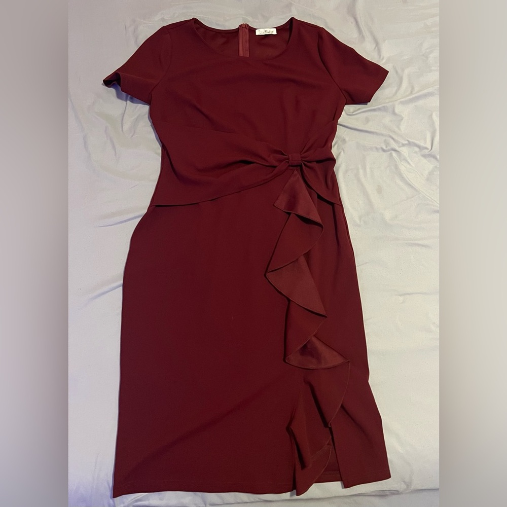 Elegant Burgundy Dress